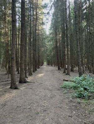 Photo 24- click for photo gallery